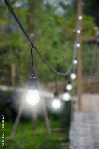 Decorative Light bulb outdoor hang on the tree in garden at night time