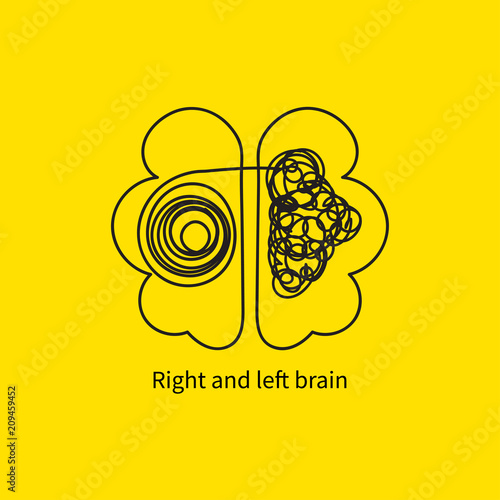 Right and left brain