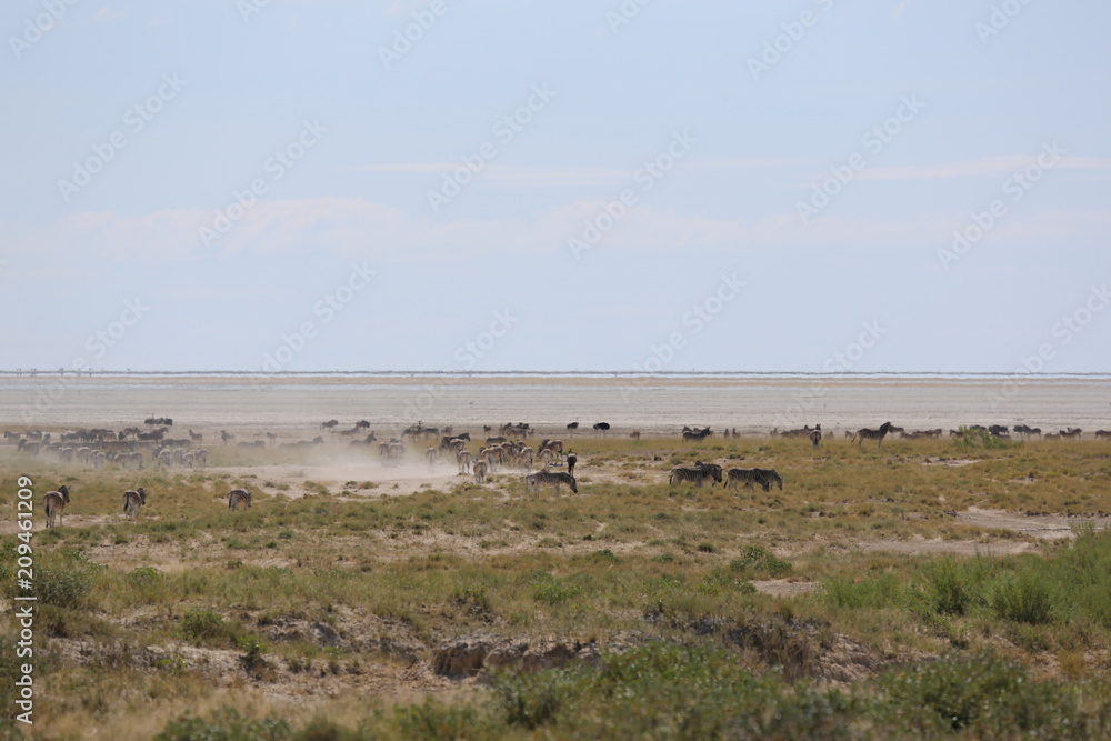 namibie namibie
