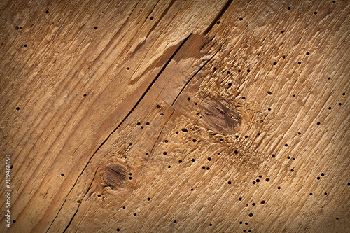 Texture wood background.