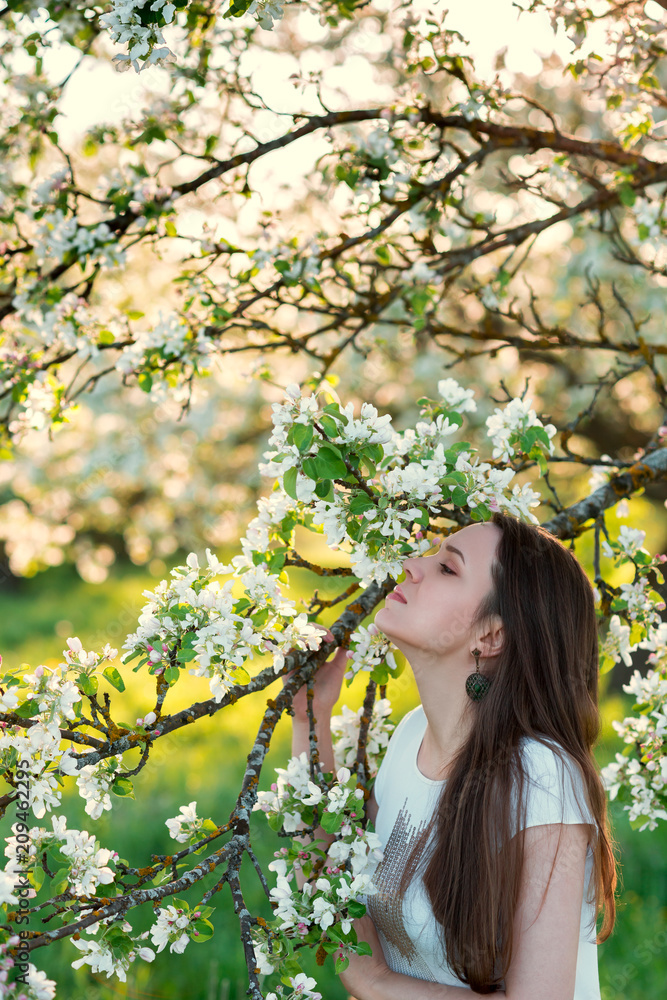 Portrait of young woman in spring garden. Beautiful girl and blooming apple tree on sunny day Portrait of young woman in spring garden. Beautiful girl and blooming apple tree on sunny day