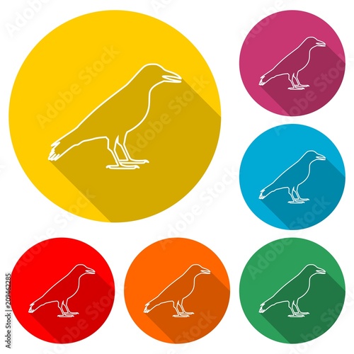 Crow vector illustration design icon, Crow silhouette, color icon with long shadow