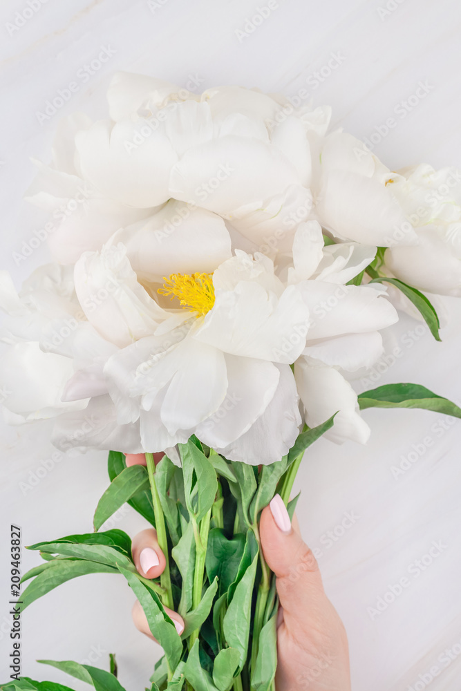 White peony flowers on marble background White peony flowers on marble background