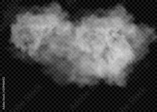 Fog or smoke isolated transparent special effect. White vector cloudiness, mist or smog background. Vector illustration