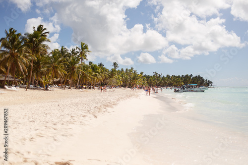 Fototapeta Naklejka Na Ścianę i Meble -  Exotic coast of the Dominican Republic with exotic palm trees on the golden sand