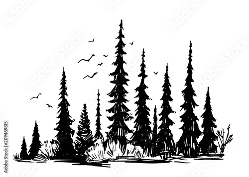 Hand drawn sketch of forest. Silhouettes of trees