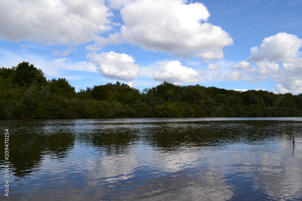 river and forest 2