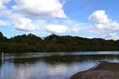 river and forest