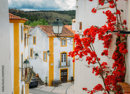 Tableau sur toile View of narrow paved street in Constancia, Portugal
