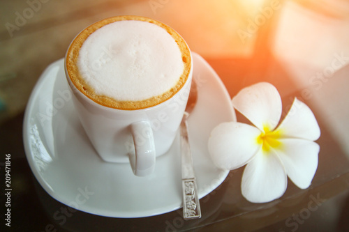 Beautiful white Plumeria