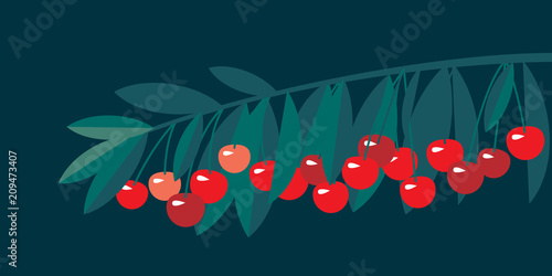 Rape cherry fruit simple fl...