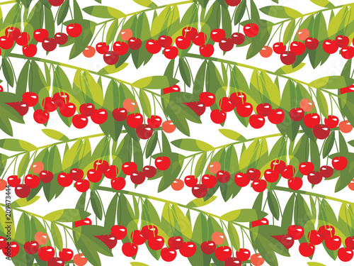 Rape cherry fruit  seamless...