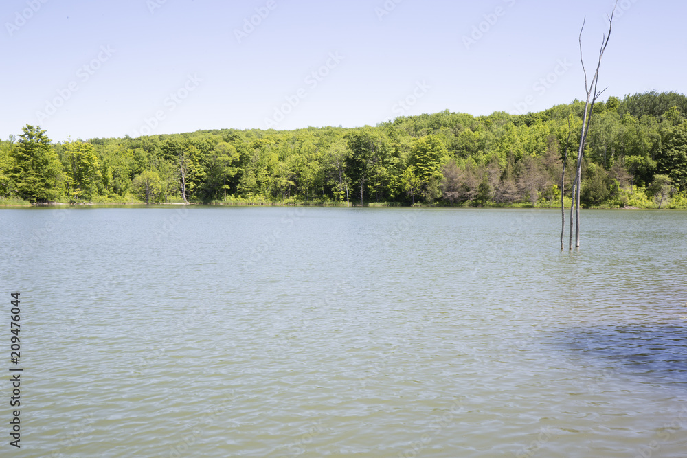 Landscape View of a Country Pond