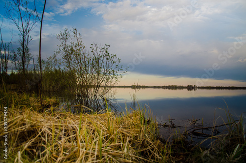 evening landscape on the shore of the lake. spring.