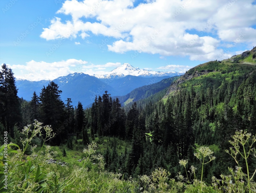 A stunning view of Mount Baker from Yellow Aster Butte trail A stunning view of Mount Baker from Yellow Aster Butte trail