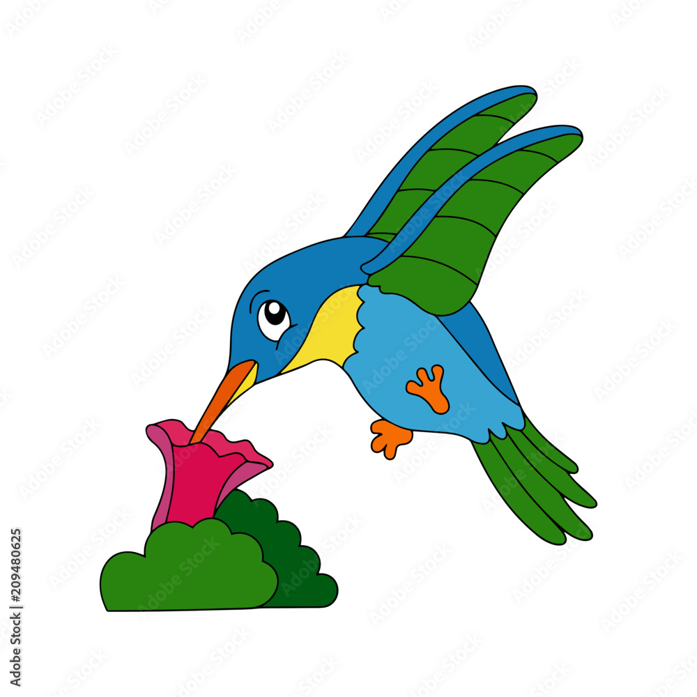 Humming bird cartoon illustration isolated on white background for children color book