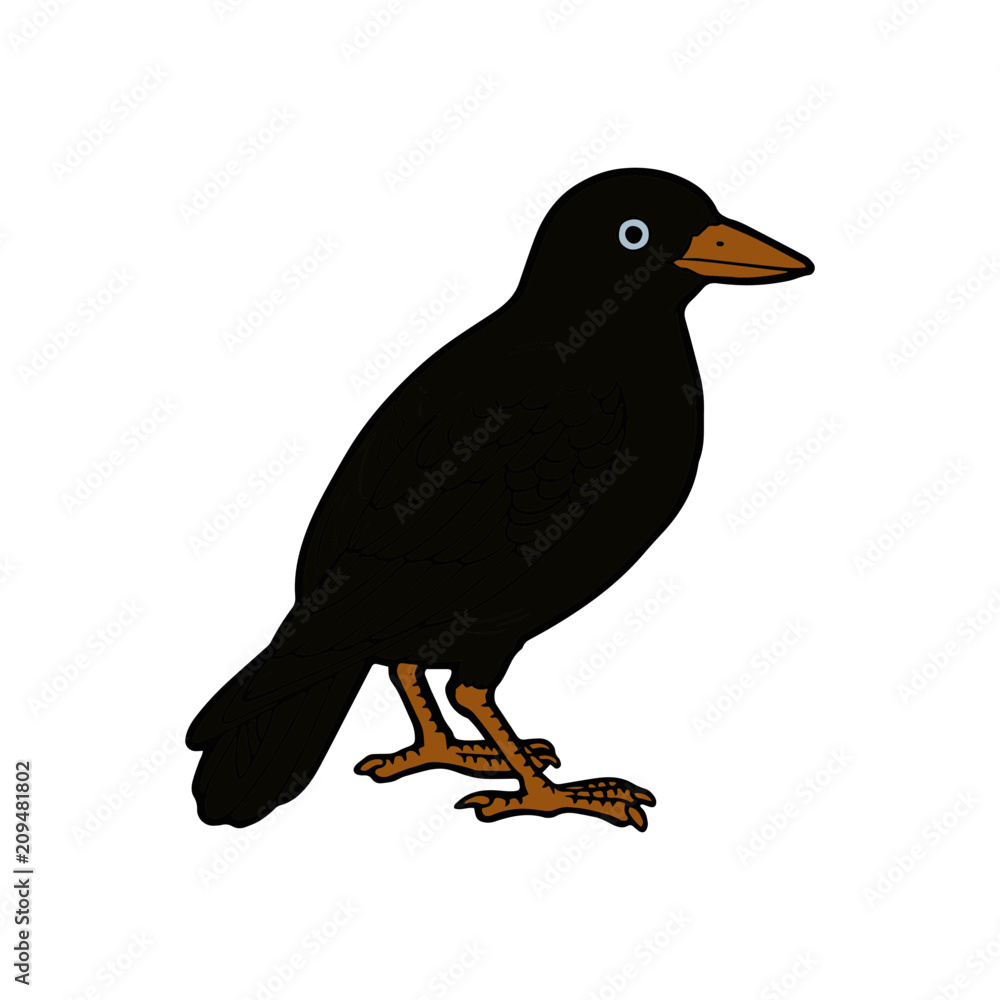 Fototapeta premium Crow cartoon illustration isolated on white background for children color book