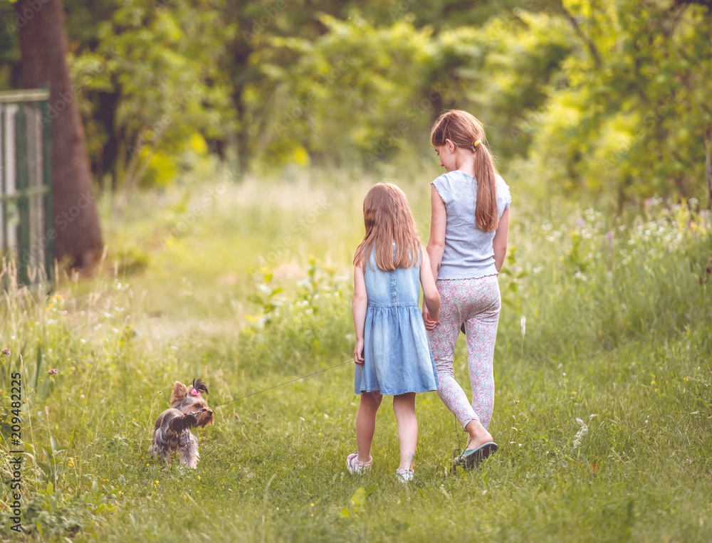 Obraz premium Two sisters playing with little Yorkshire terier sunny day