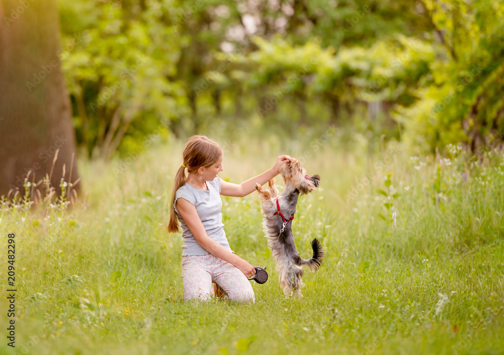 Little girl playing with terrier dog Little girl playing with terrier dog