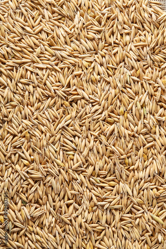 Pile of unpeeled oat grains on homespun tablecloth background, top view, close-up, macro, selective focus.
