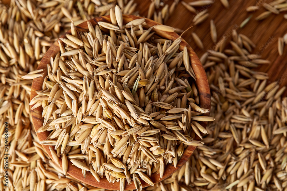 Pile of unpeeled oat grains on wooden background, top view, close-up, macro, shallow depth of field.