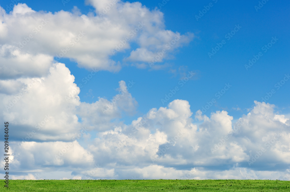Fototapeta premium Grass and sky background