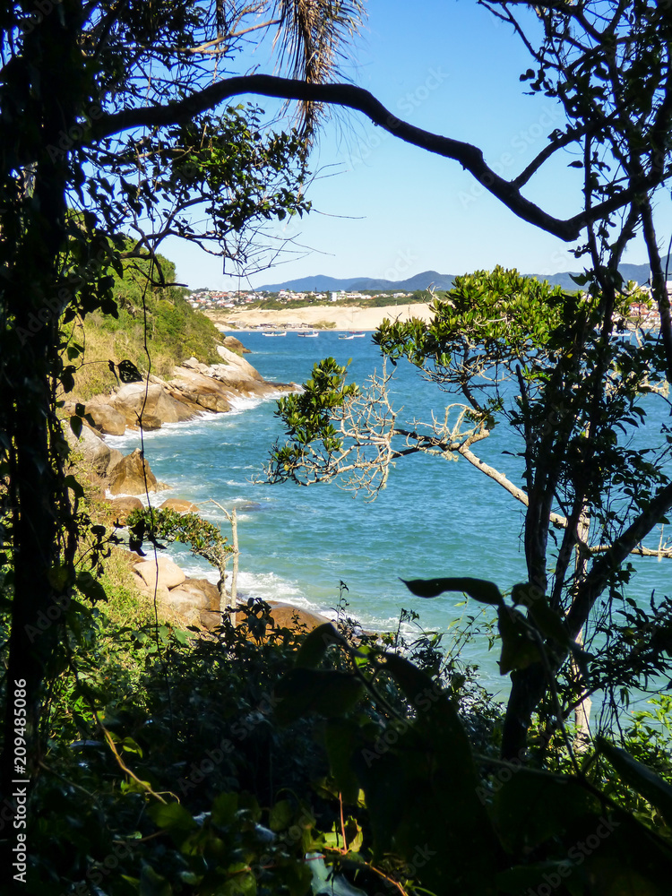 Atlantic forest and a view of Ingleses beach - Florianopolis, Brazil Atlantic forest and a view of Ingleses beach - Florianopolis, Brazil