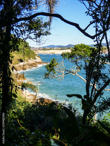 Atlantic forest and a view of Ingleses beach - Florianopolis, Brazil
