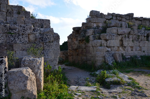 Selinunte archaeological site, Sicily