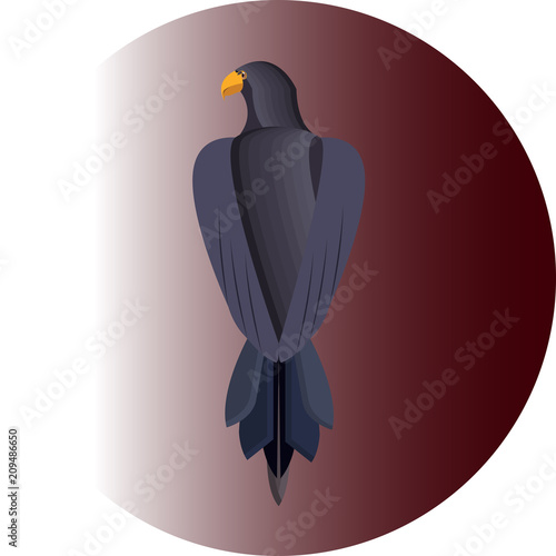 eagle