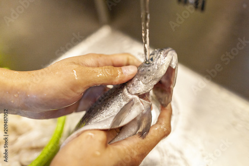 A human washes a fresh fish under water