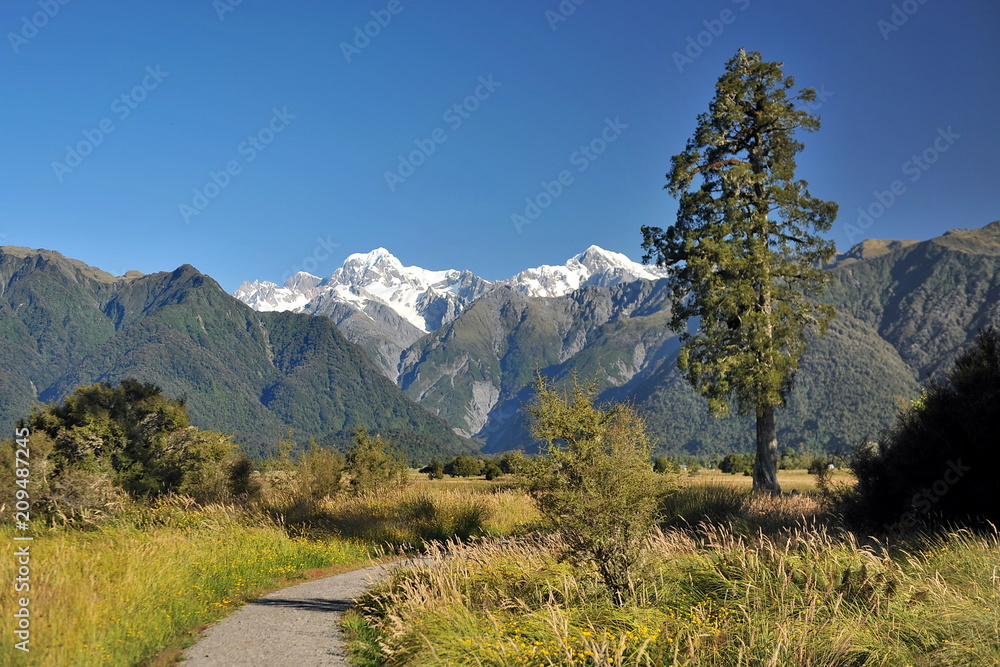 New Zealand. View of Mount Cook from the west coast of the South Island