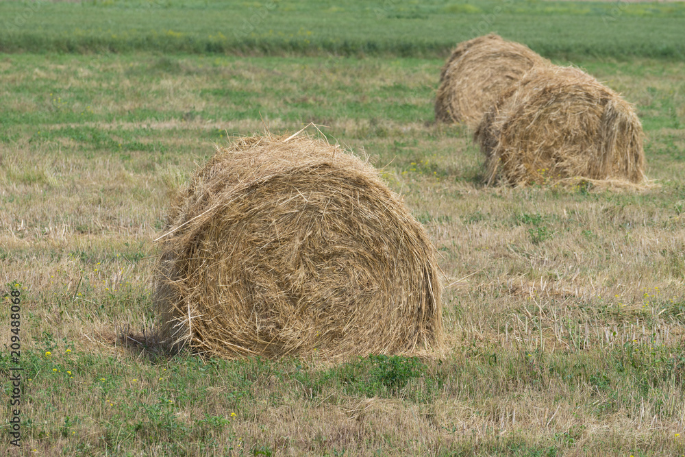 Natural landscape with large haystacks Natural landscape with large haystacks