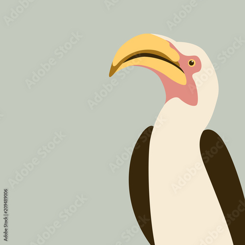 red- billed hornbill  bird vector illustration flat 