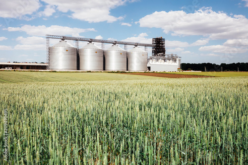 four silver silos in a wheat field © Mykola