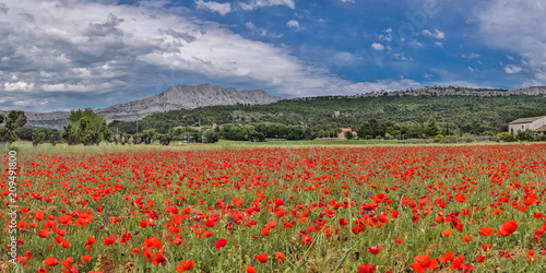 Aix-en-Provence - montagne Sainte-Victoire