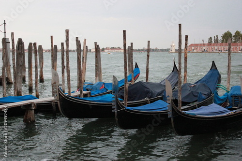 Venice g  ndola