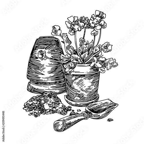 Growing flowers. Pot with plant and scoop. Engraving style. Vector illustration.