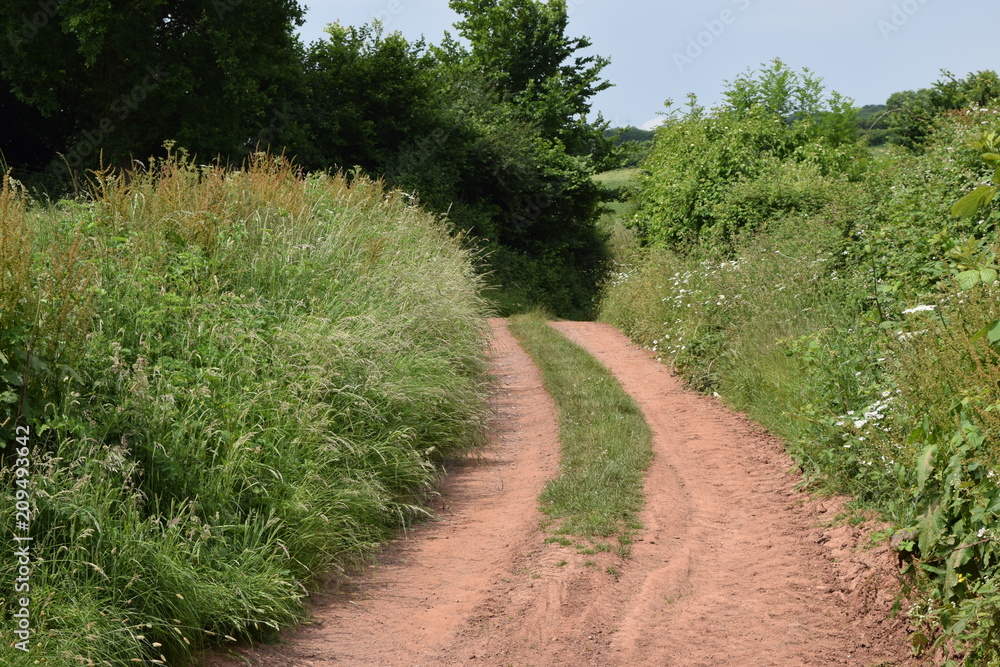 Farm track country road