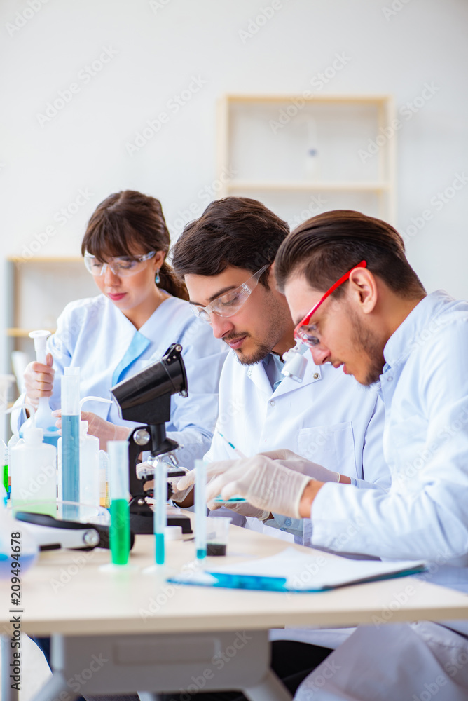 Fototapeta premium Team of chemists working in the lab