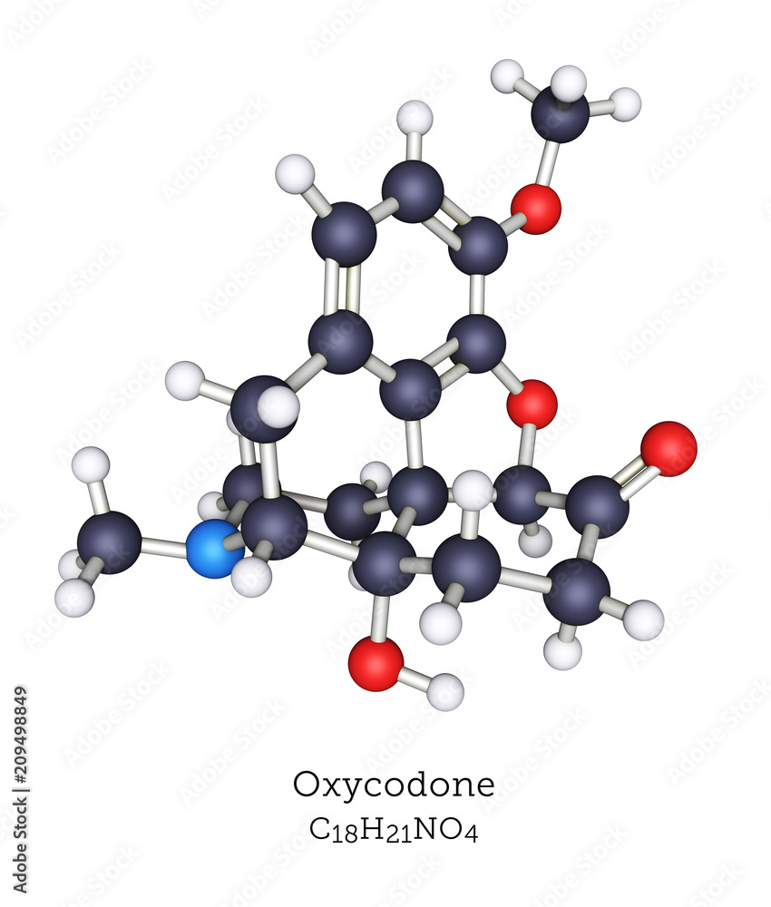 Ball-and-Stick Molecular Model of Oxycodone Ball-and-Stick Molecular Model of Oxycodone