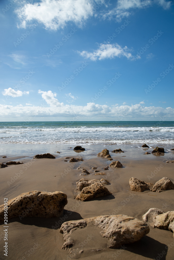 Coastal landscape