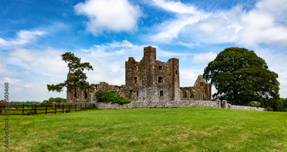 Old castle with farm field in Ireland