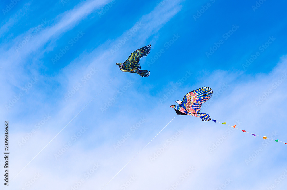 Kite flying in the sky among the clouds Kite flying in the sky among the clouds