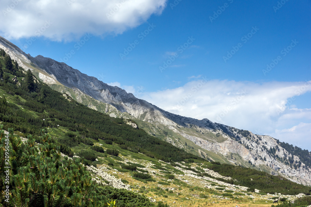 Amazing Landscape Banderishki Chukar Peak, Pirin Mountain, Bulgaria