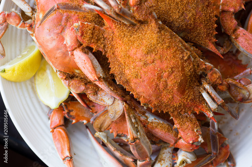 Steamed Blue Crabs