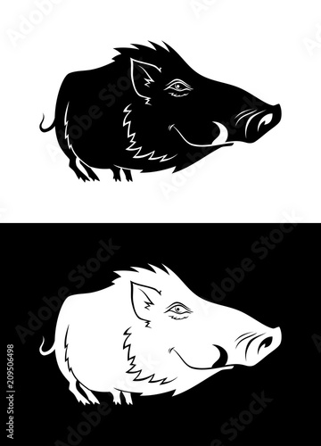 Funny boar silhouette