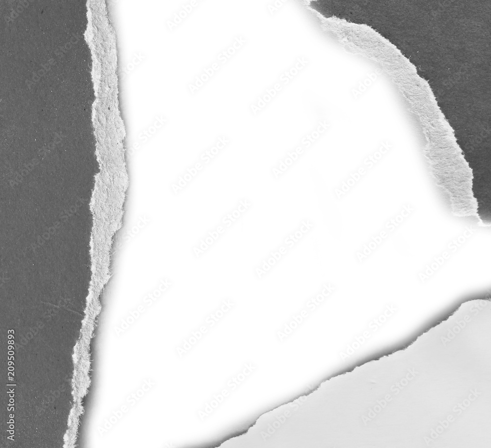 pieces of torn paper texture background, copy space. pieces of torn paper texture background, copy space.