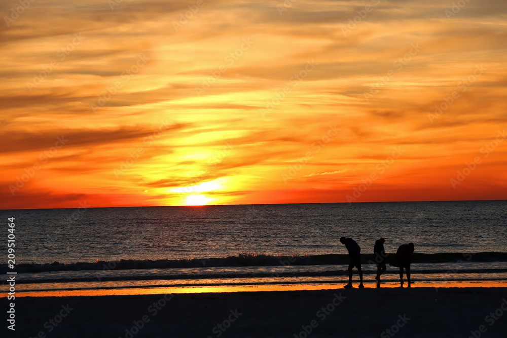 With a beautiful sunset in the background, friends search for sea shells on the West Coast of Florida, USA.