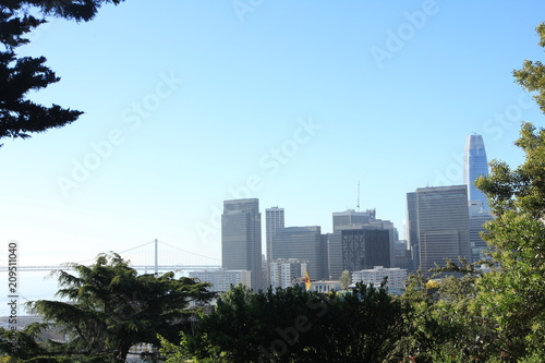 View of Financial District from Telegraph Hill in San Francisco © marcuspon